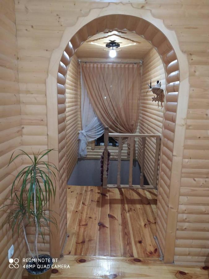 Vila Карпатські Зорі Pilipets Exteriér fotografie